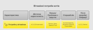 вітамінні потреби котів